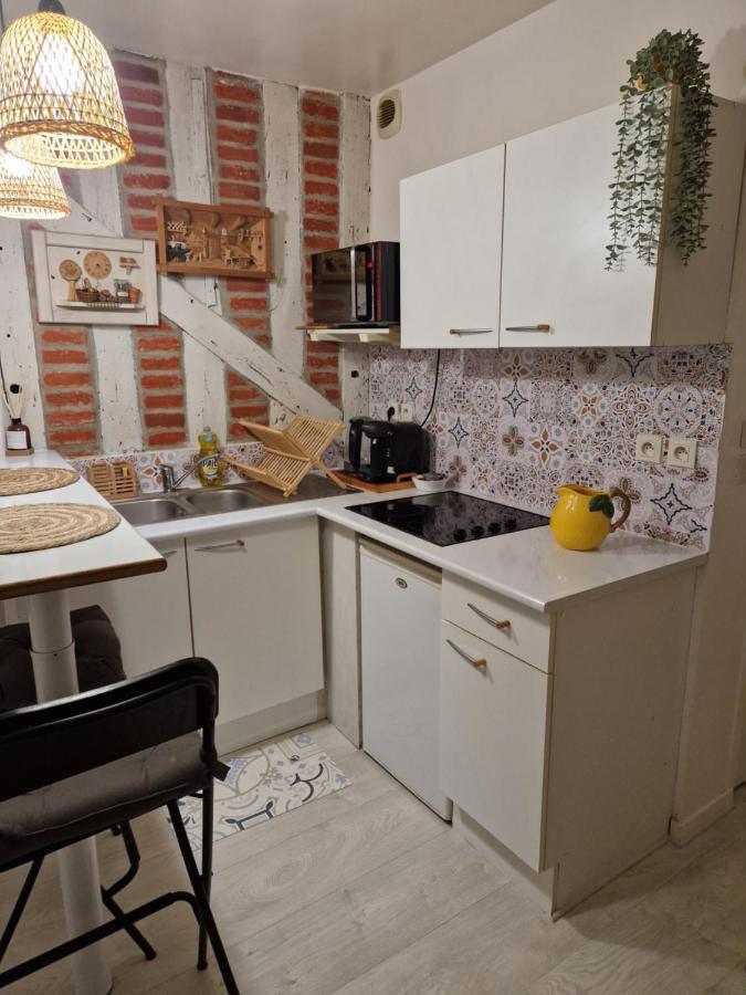 Le Scandinave, Proche Bord De Loire Orléans Kültér fotó